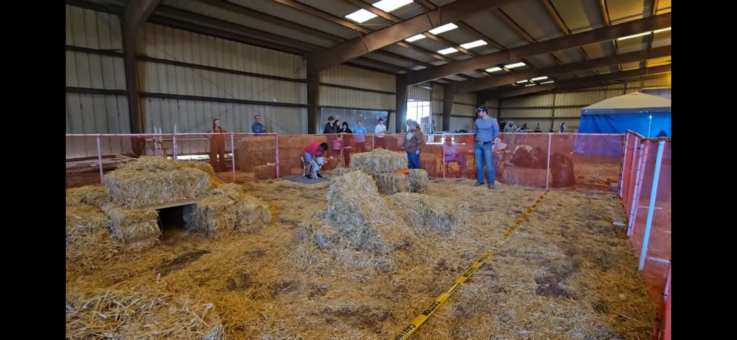 Spring Barn Hunt Trial