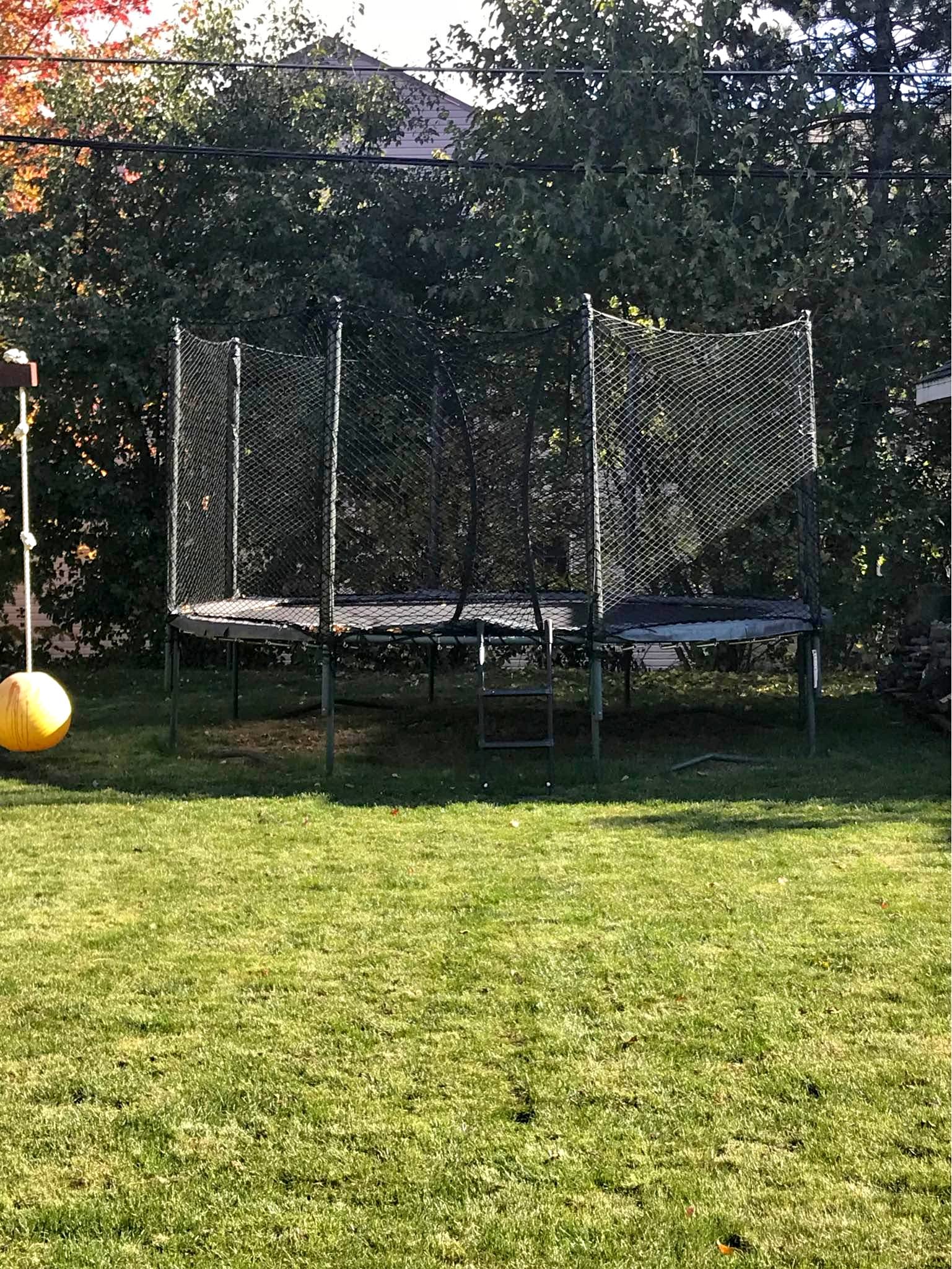 JumpSport AlleyOOP Double Bounce trampoline with ladder and safety net ...