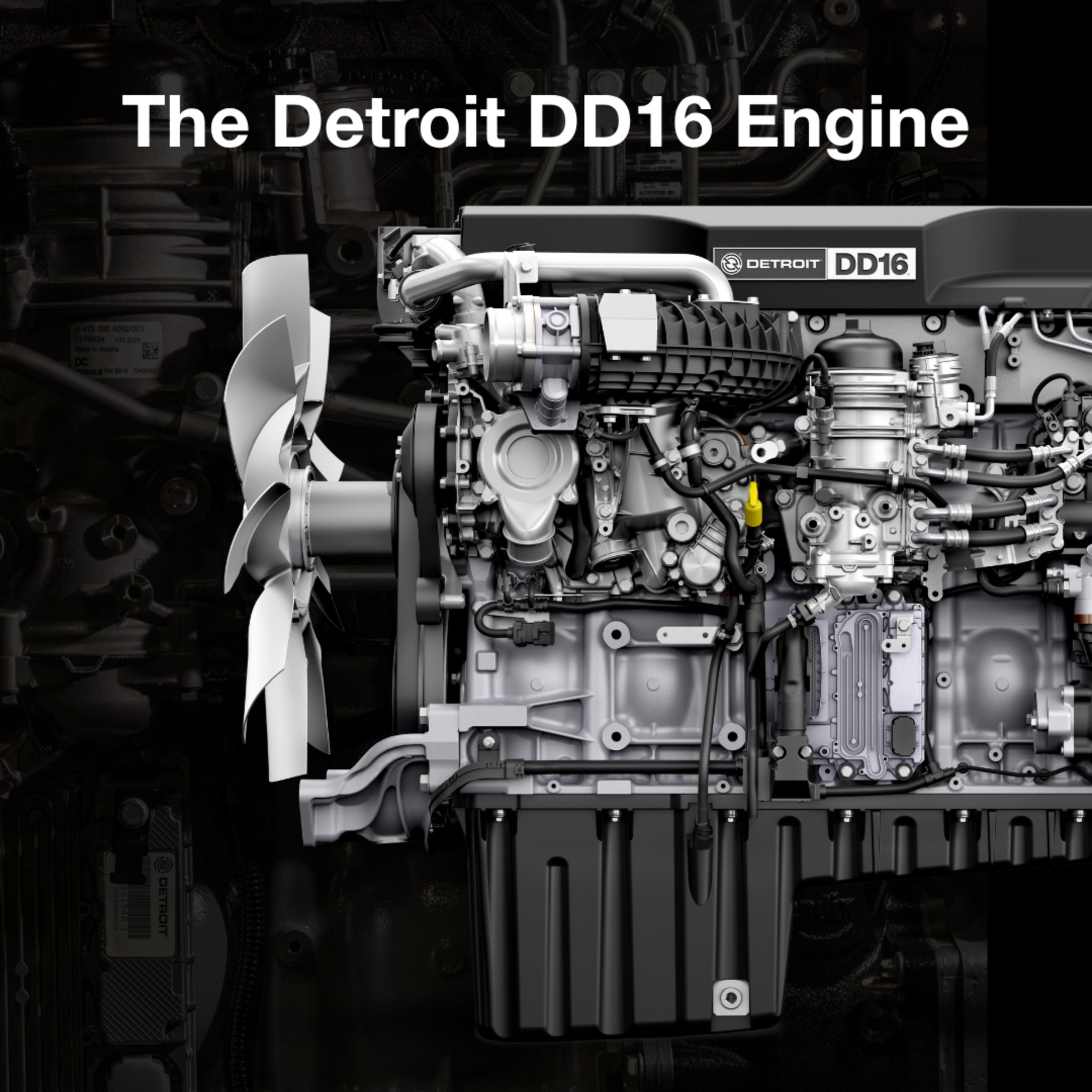 Demand Detroit