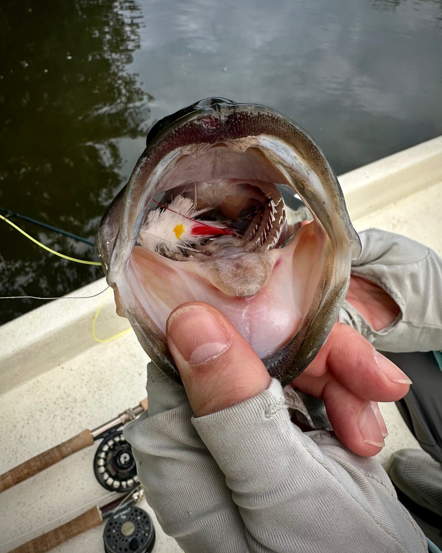hitorhike fishing rod holder 360° Mini Track Mount 1 PC – Hitorhike rod_power__XXXXH Daiwa Tanacom 800 Electric Rod Holder:Floor Plate (Yes)
