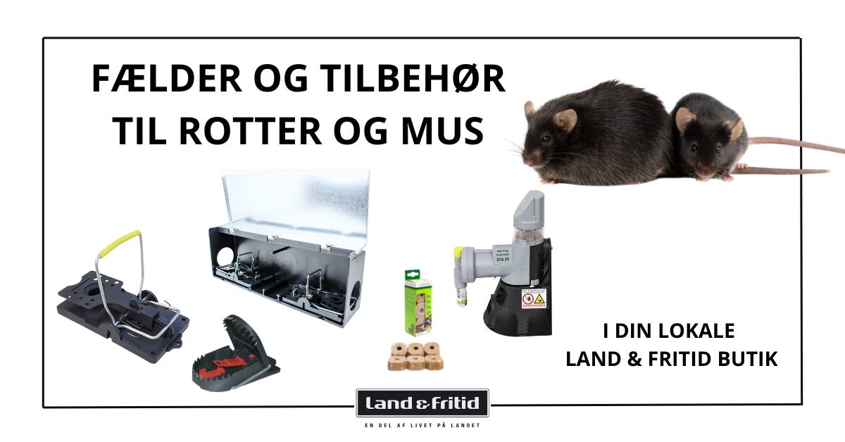 Land & Fritid Skærbæk - 🐀🐭🚨 DET BOOMER MED MUS OG ROTTER! 🚨🐭🐀 De små ...