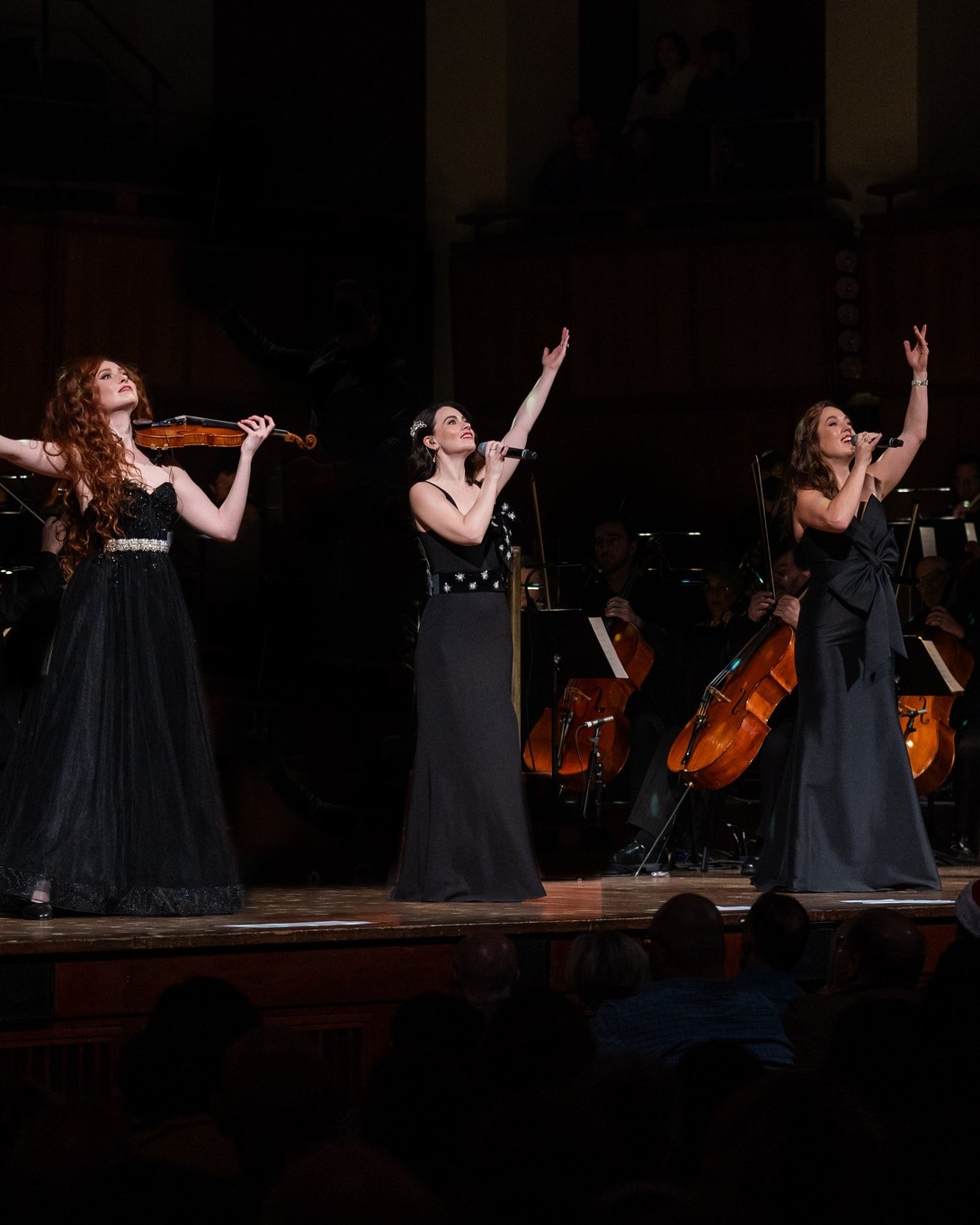 Fairfax Symphony | Fairfax VA