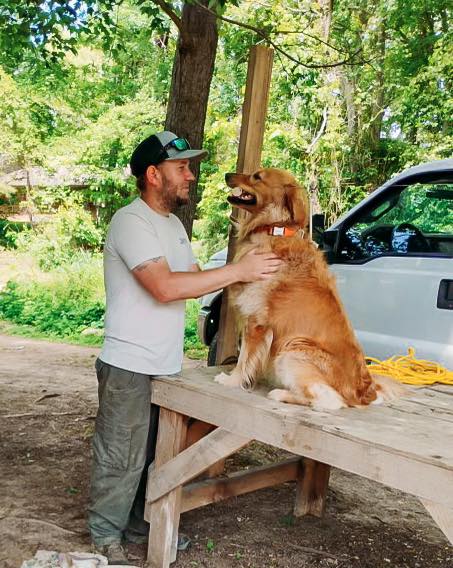 Cedar - Tess, the golden, is blowing through trained retrieve/force ...