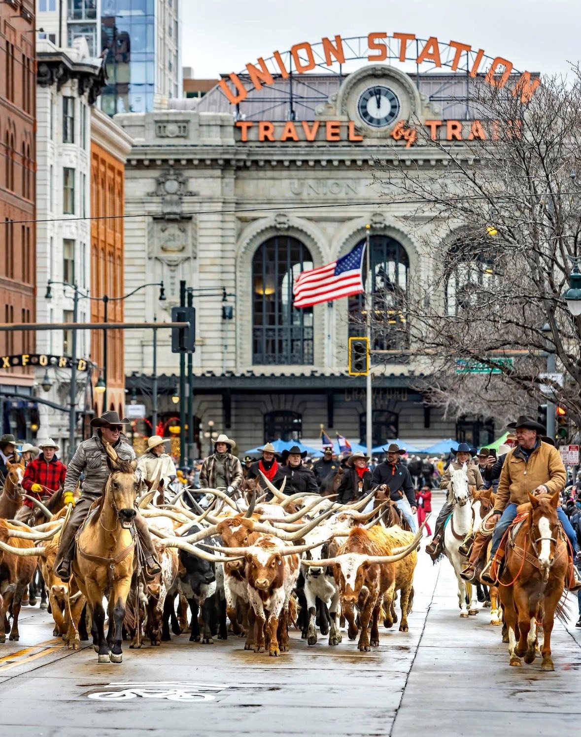 Colorado Rules | Denver CO