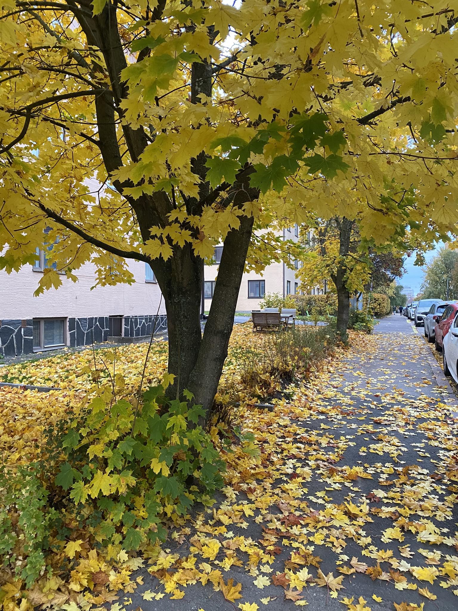 Töölön seurakunnan vapaaehtoiset | Helsinki
