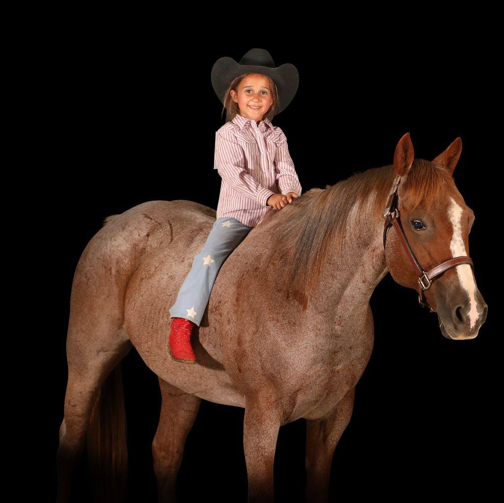 Punchy Pony Ranch &... - Punchy Pony Ranch & Livestock