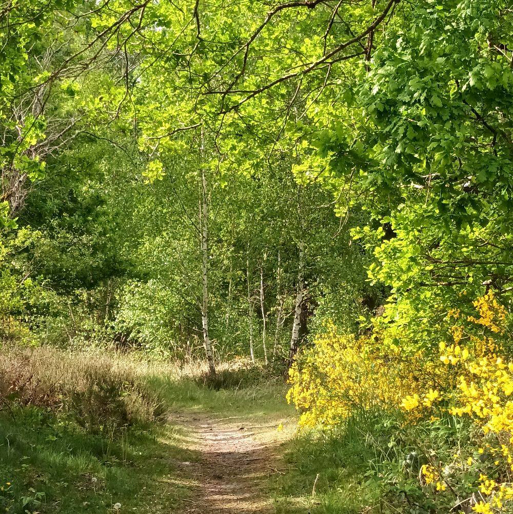 Fère en Tardenois blog - sud de l'Aisne et coups de coeur - DIMANCHE 2 ...
