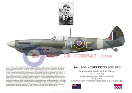 RAF in Combat
