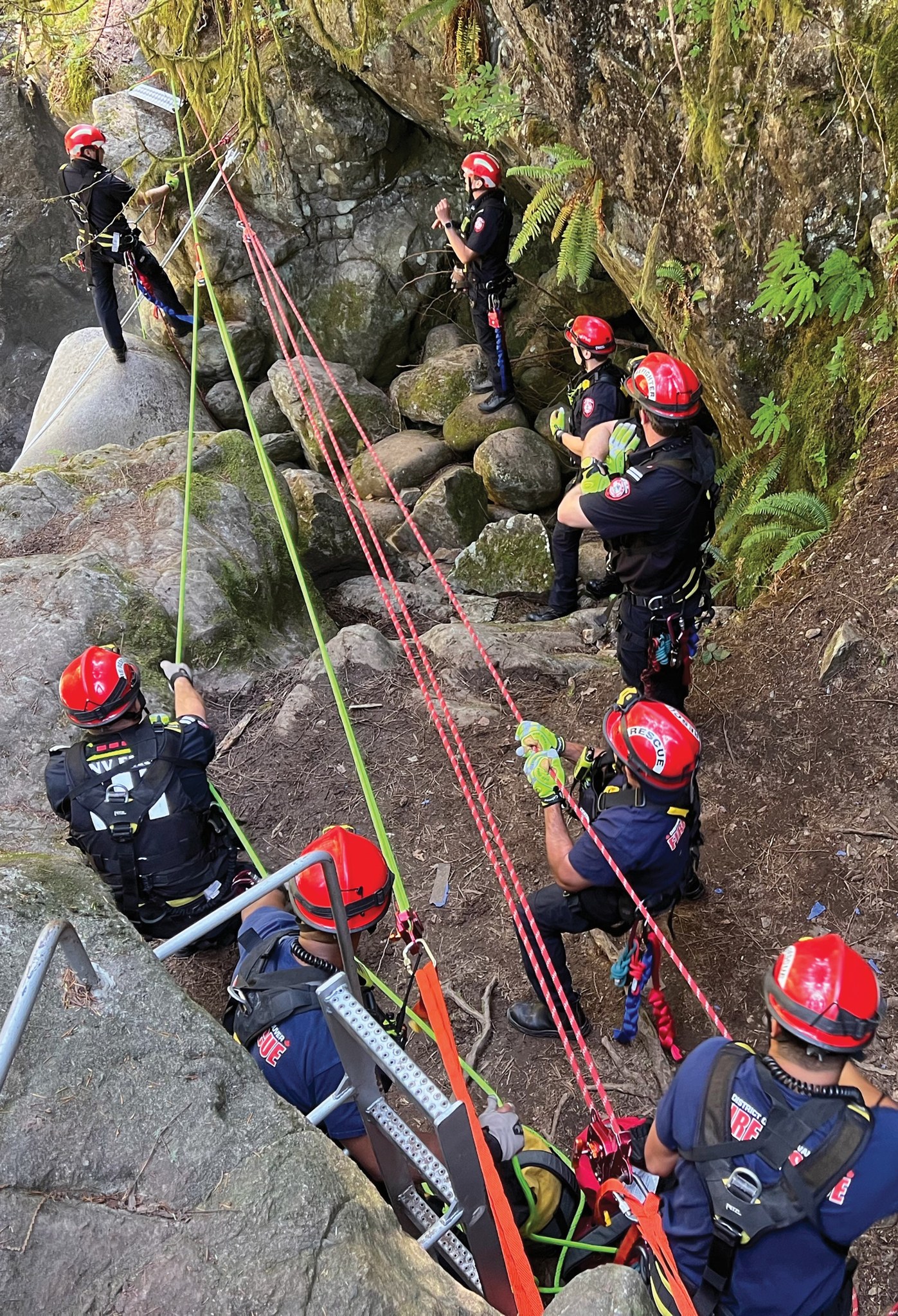 Dynamic Rescue Systems