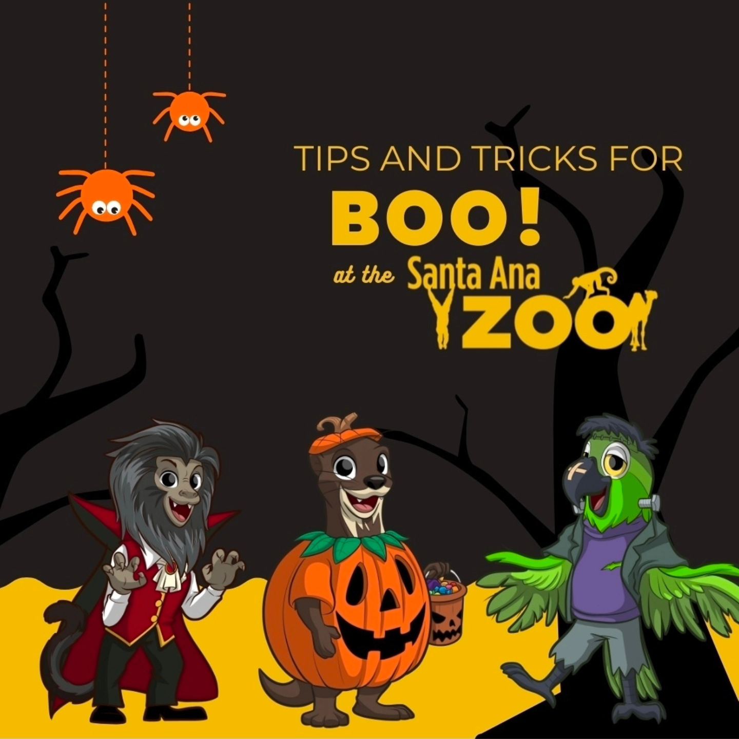 Boo at the Zoo | Santa Ana CA