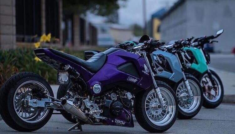 Grom Riders