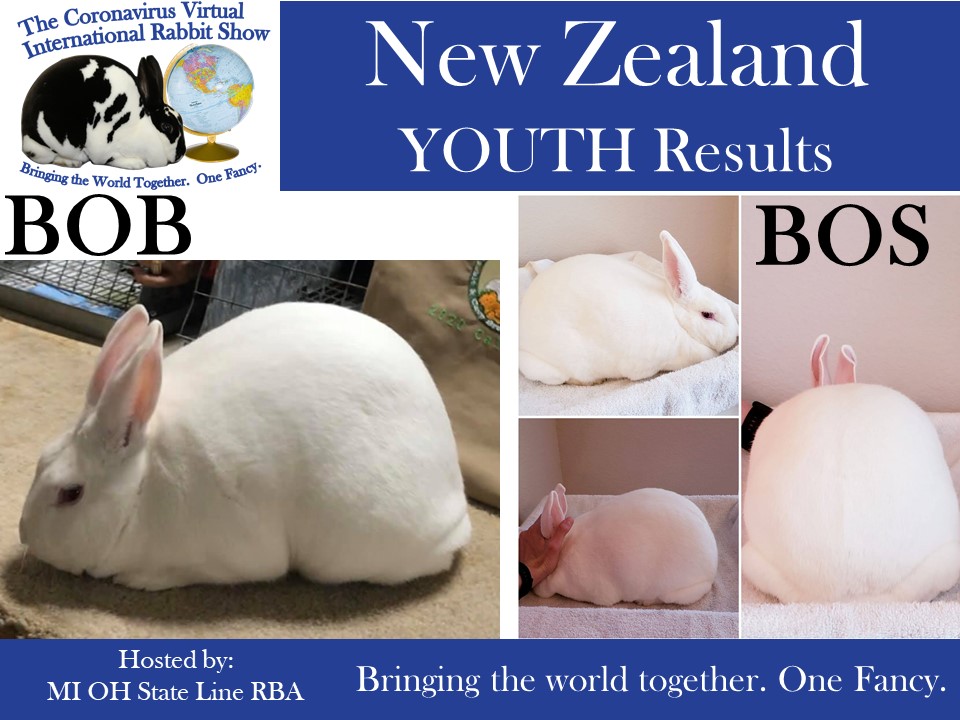 The Rabbit Show - New Zealand Youth Best of Breed Judge:... | Facebook