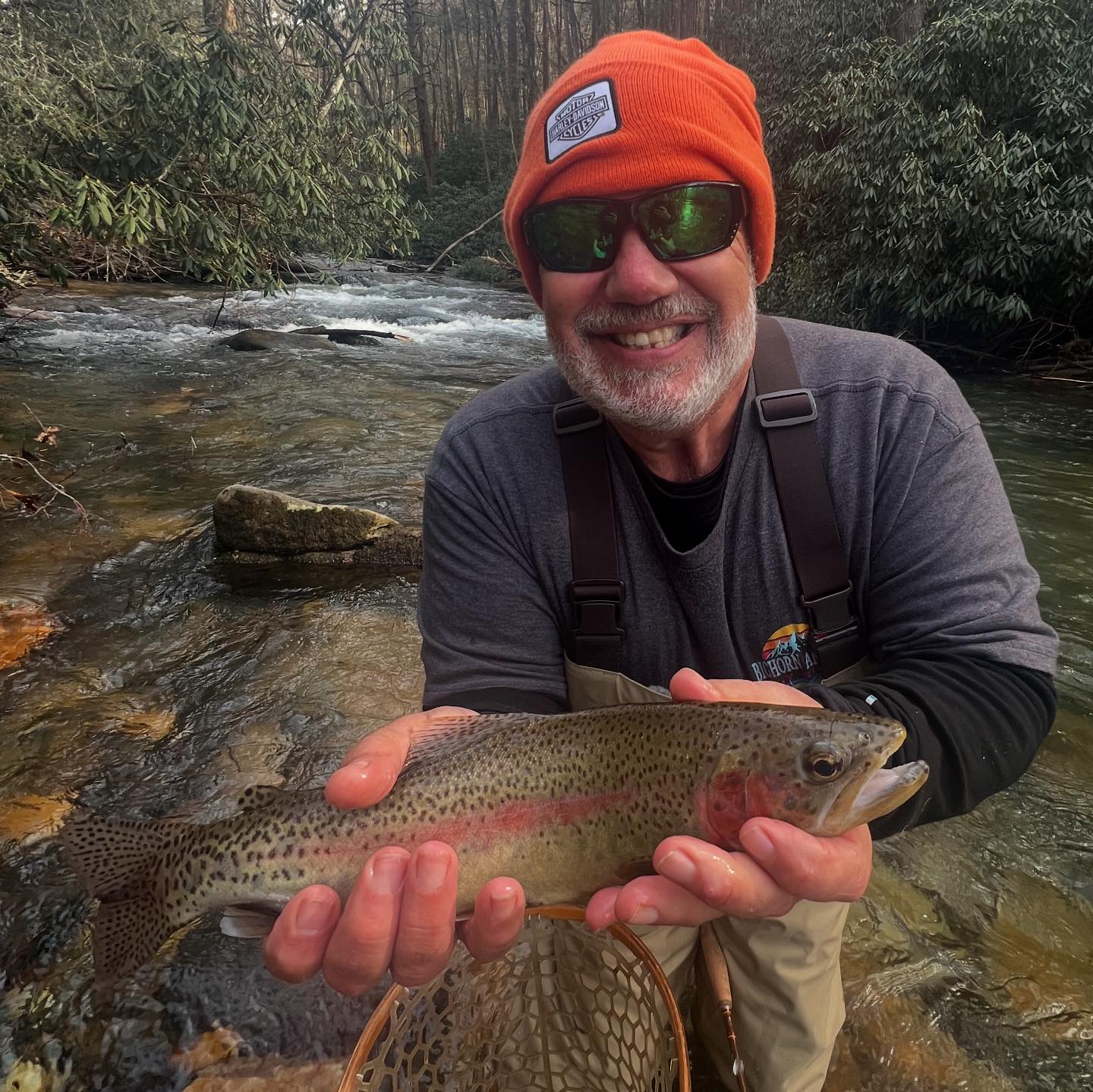 Blue Ridge Trout Trek | Blue Ridge GA