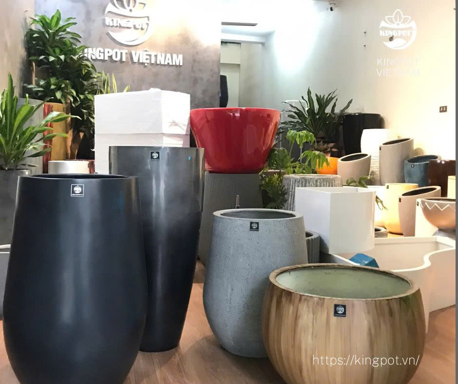 Chậu... - Chậu composite Kingpot - Sản xuất chậu cây cao cấp