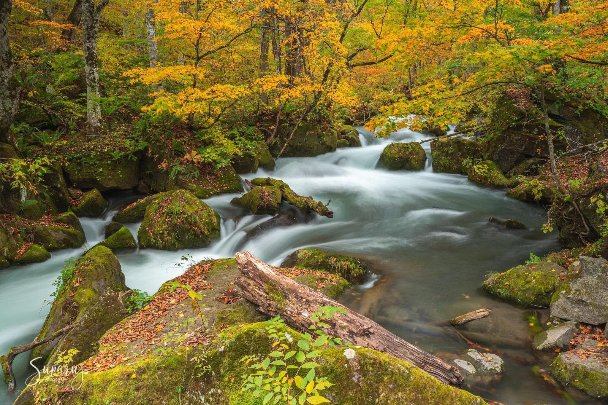 Oirase Stream 🍁 ลำธารที่ไหลลงทะเลสาบ... - Outside The Room | Facebook