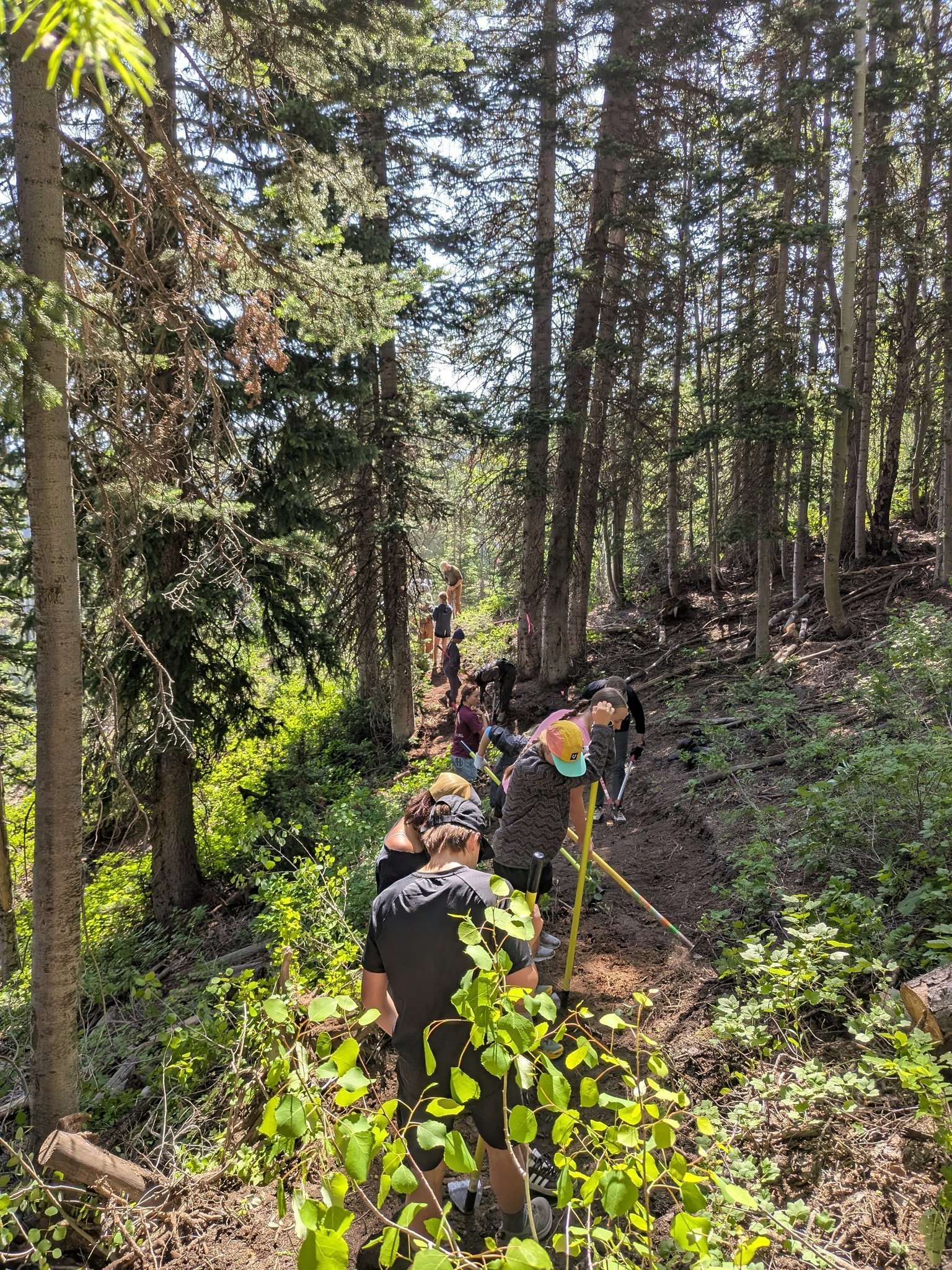 Volunteer Dig Day August 23rd