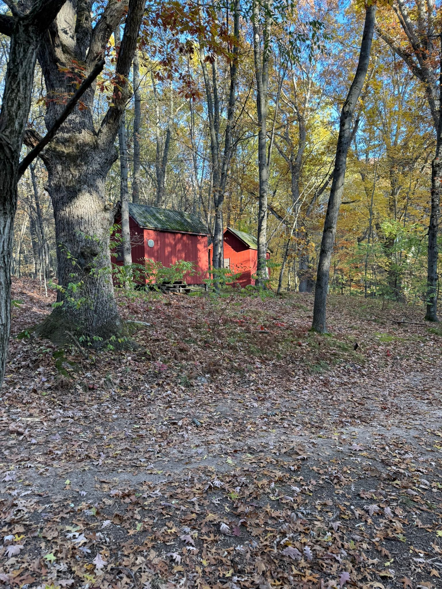 Stovykla Rakas - Camp Rakas