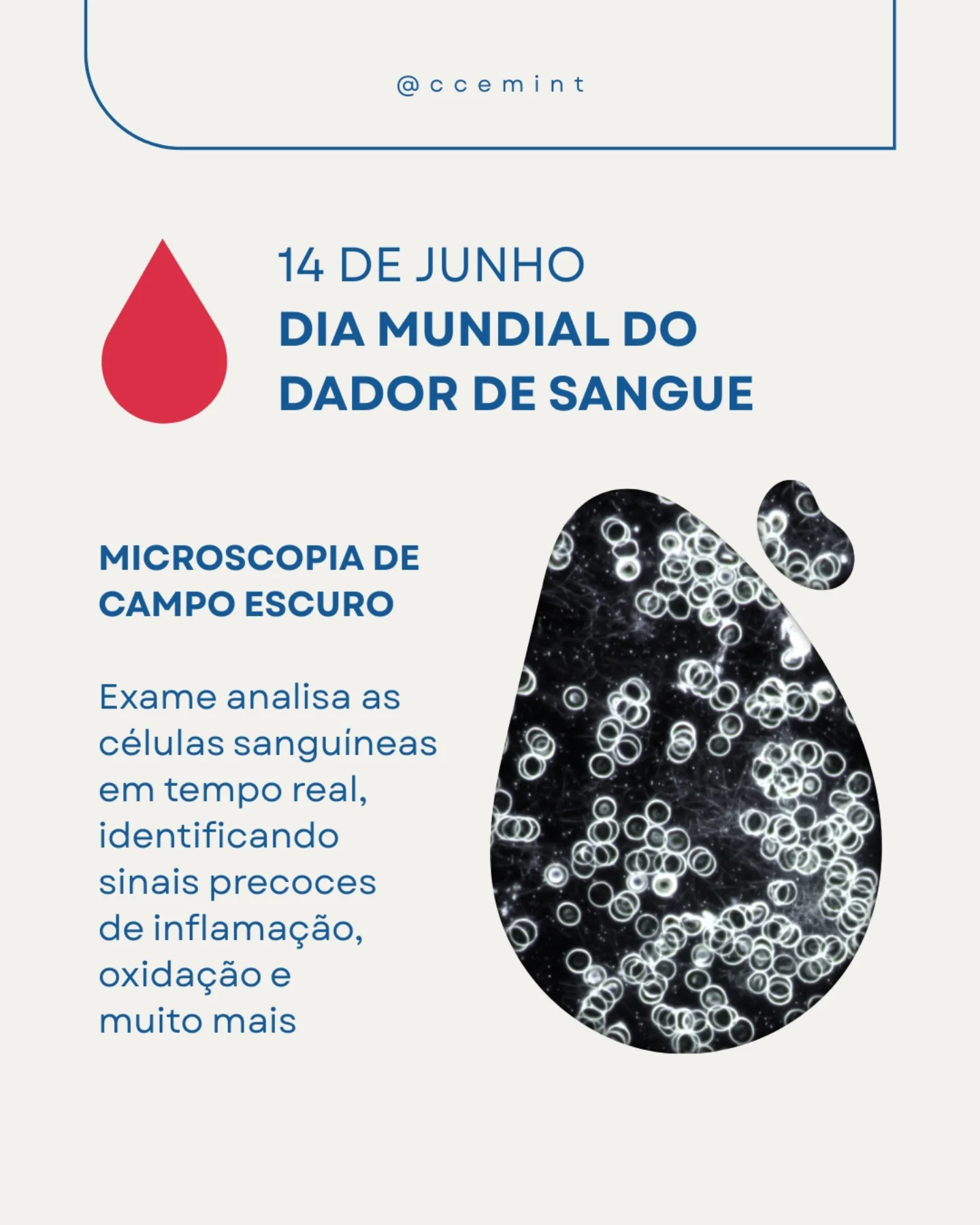 Cemint - Hoje celebramos todos aqueles que, com um simples gesto ...