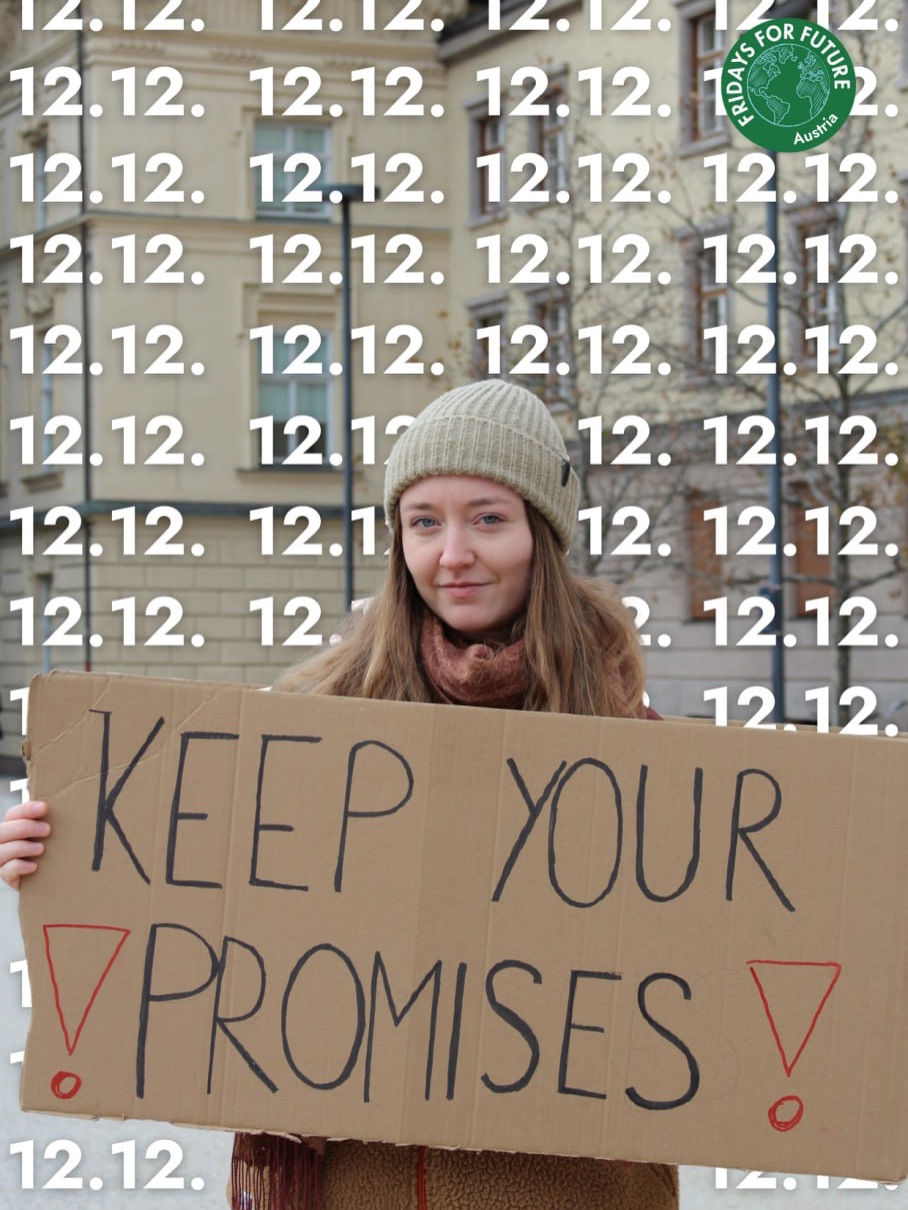 Fridays for Future Vienna - Foto: Fridays for Future Deutschland | Facebook