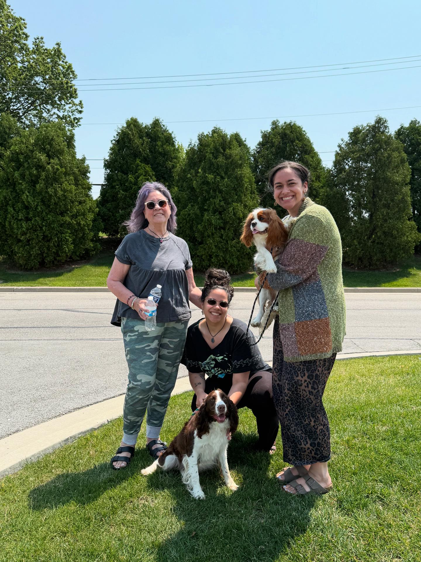 English... - English Springer Rescue America, Inc. (ESRA)