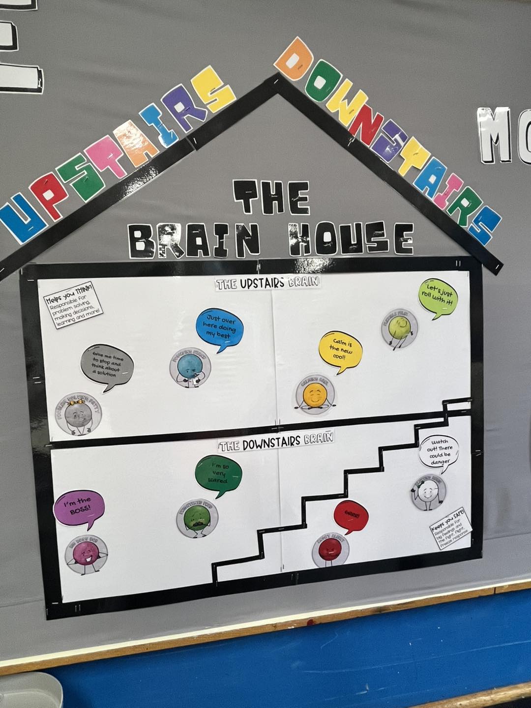 🧠 Welcome to the Brain House 🧠... - Carcoar Public School | Facebook