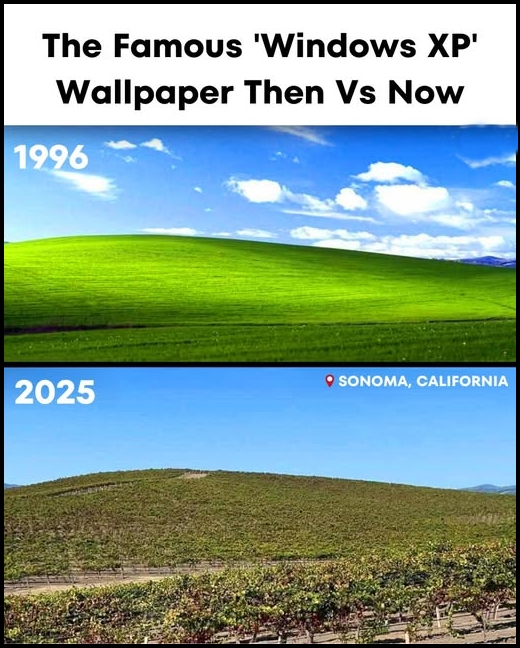 Tech - The Iconic Windows XP Wallpaper – Then vs Now (1996 to 2025) 🌄💻 ...