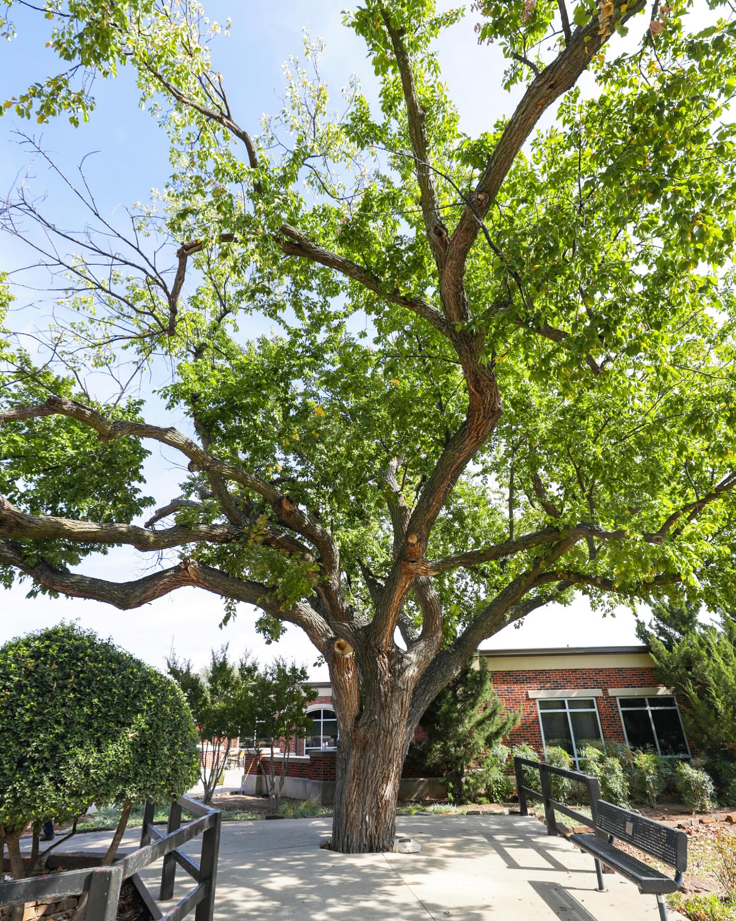 Cameron - Spring is here, and campus has never looked greener! 🌿 Warm ...