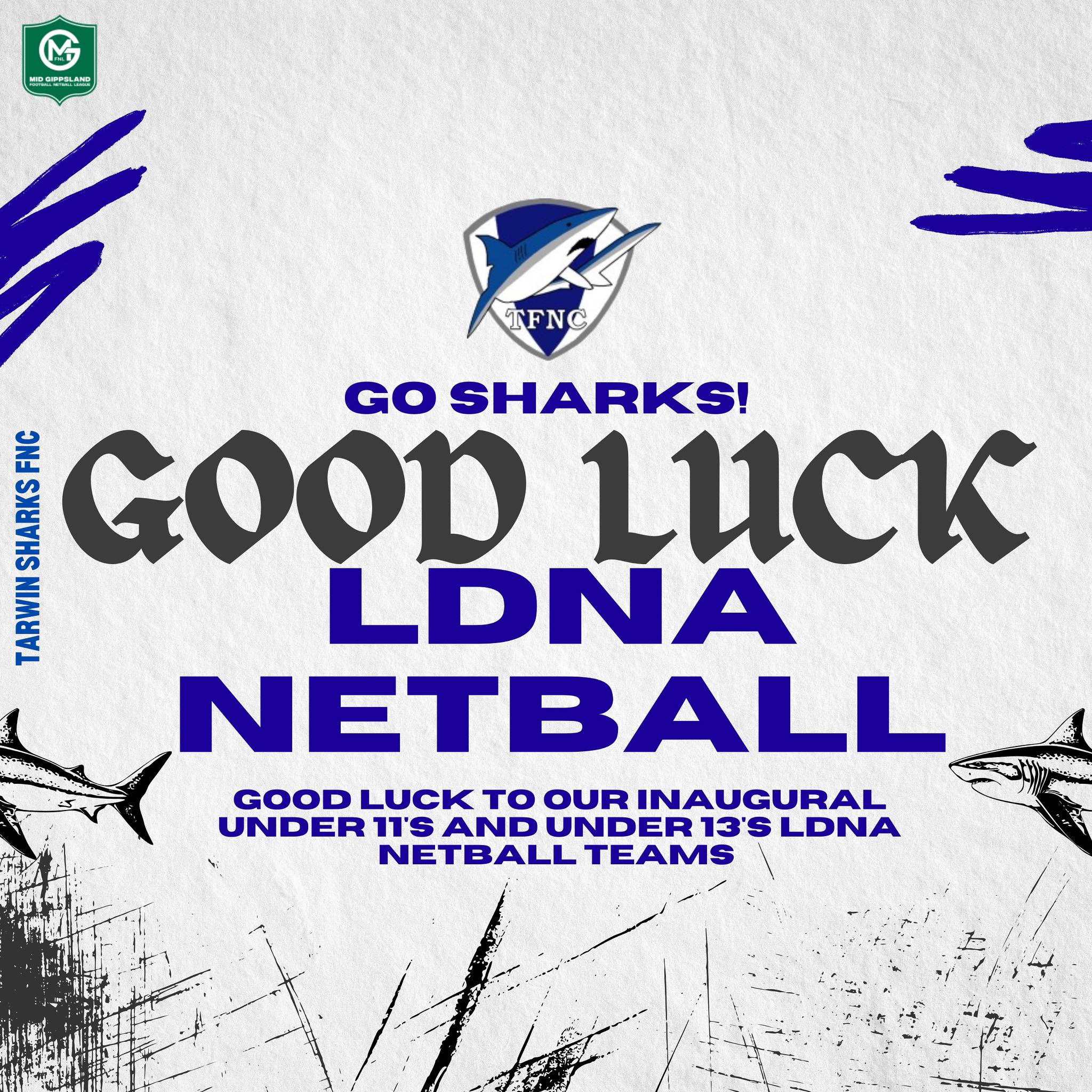 Tarwin - Good luck to our first ever Tarwin FNC LDNA netball teams ...