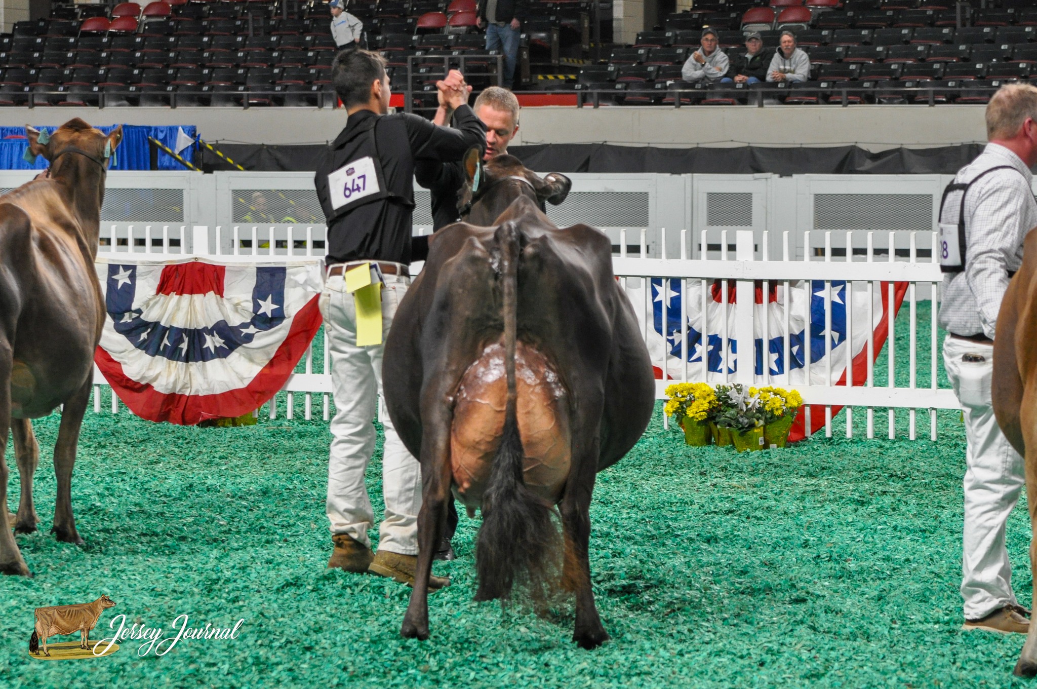 Jersey Journal - Your SEMEX GJPI Senior Champion is the... | Facebook