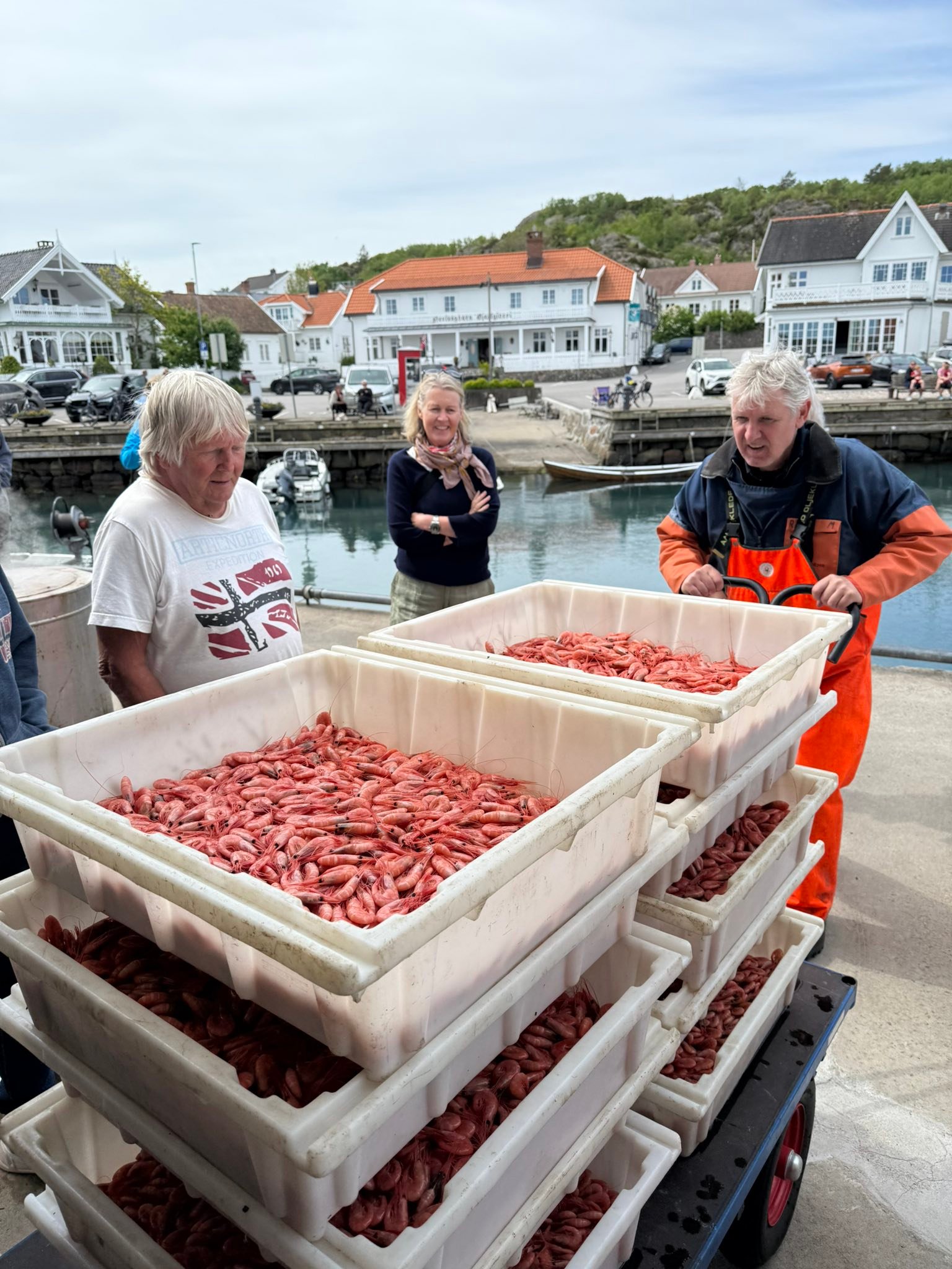 Havna Fisk & Skalldyr As - MASSE god fisk. Torsk i skiver og filet ...