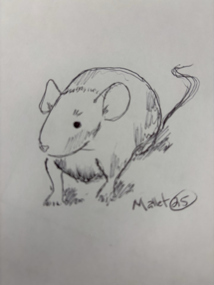 George Mallet - I found a tiny mouse in my toilet while... | Facebook