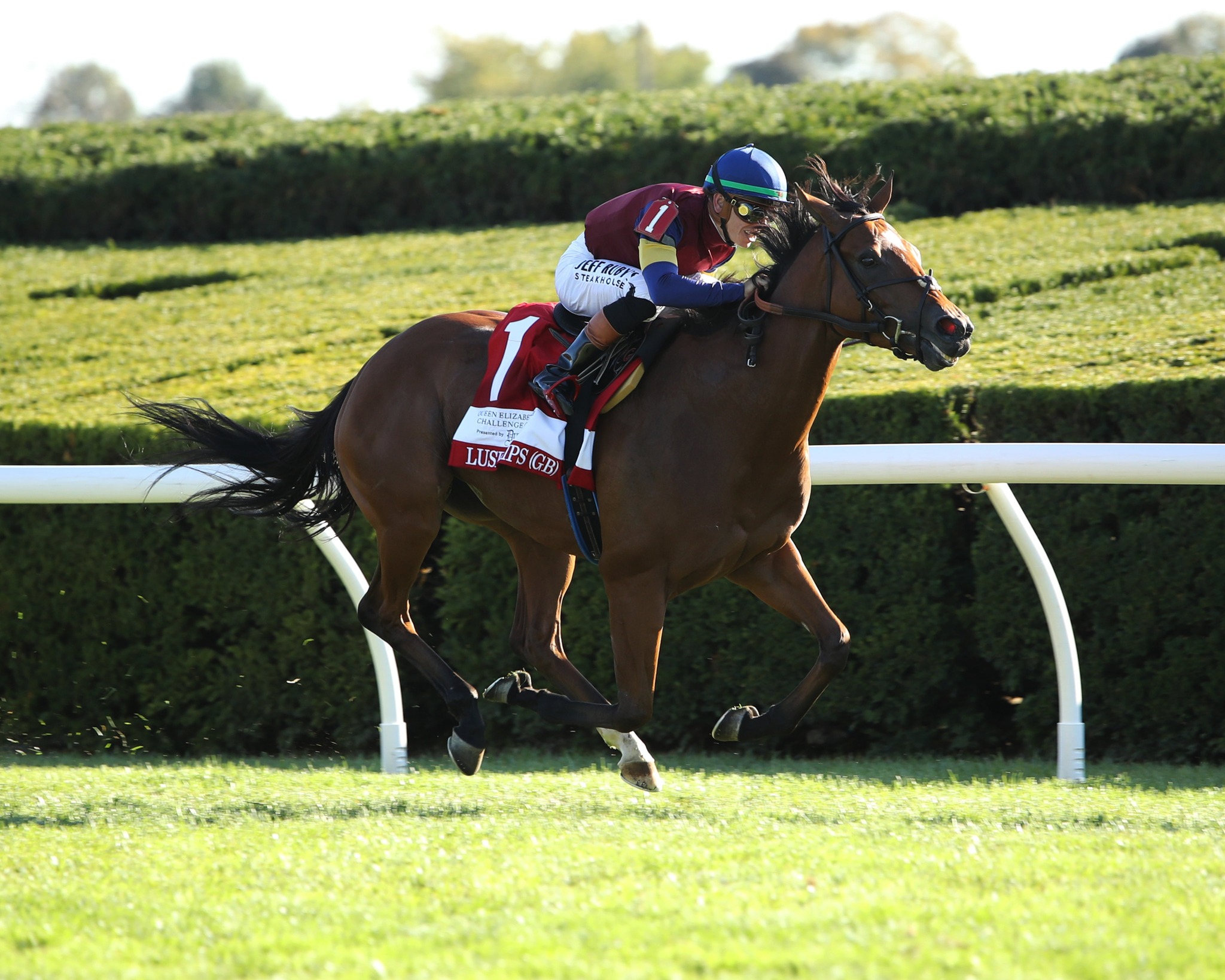 It all starts at Goffs. November Breeding Stock mares continued to