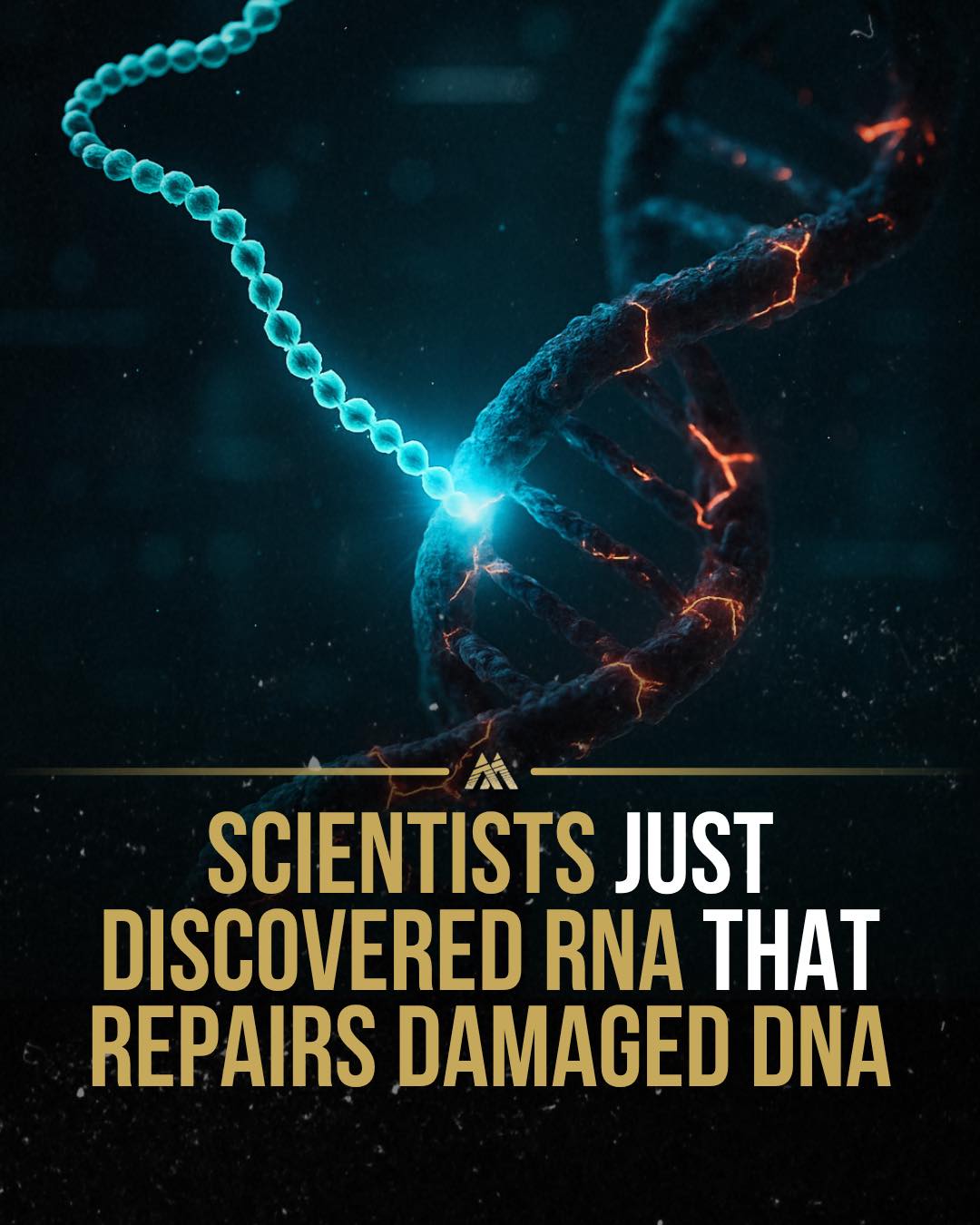 Mindset - A study published in Nature Cell Biology revealed that ...