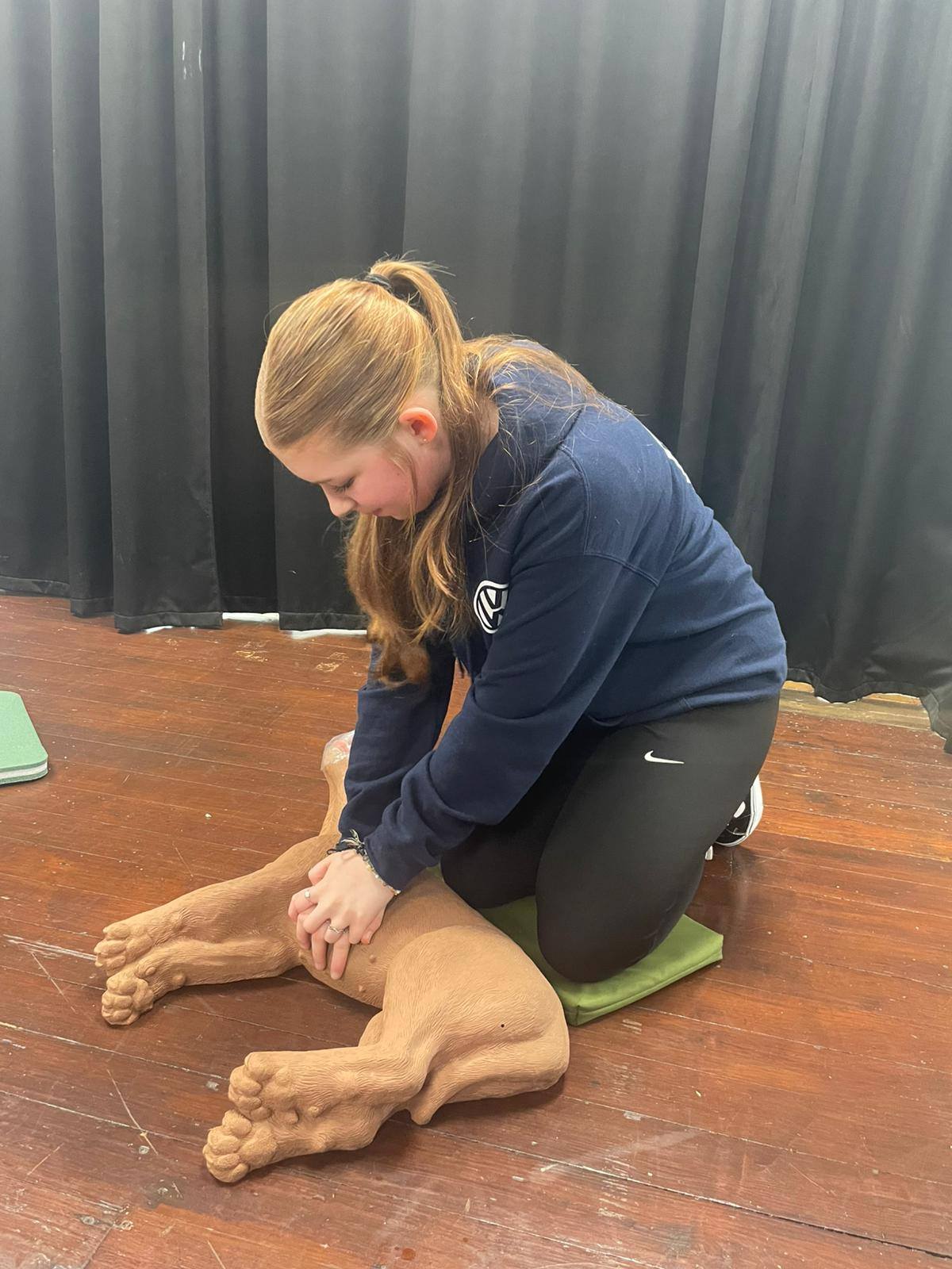 A-SIT Dog Training | Bridgwater