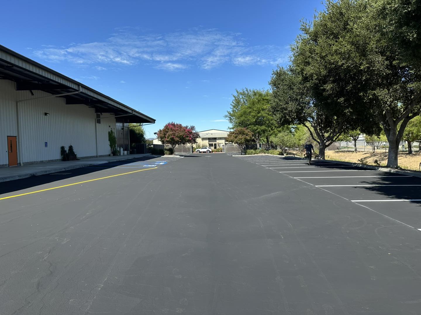 How to Choose the Best Central Coast Sealcoating Service – Real Customer Reviews