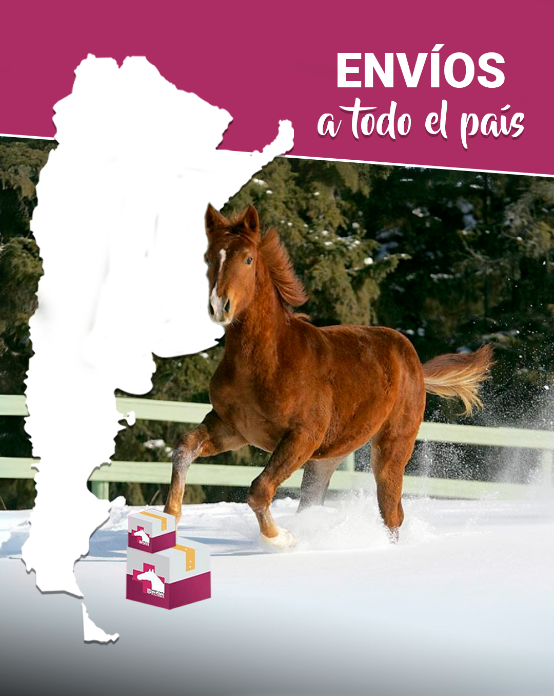 Veterinaria - Desde cualquier rincón del país, te brindamos todo para ...