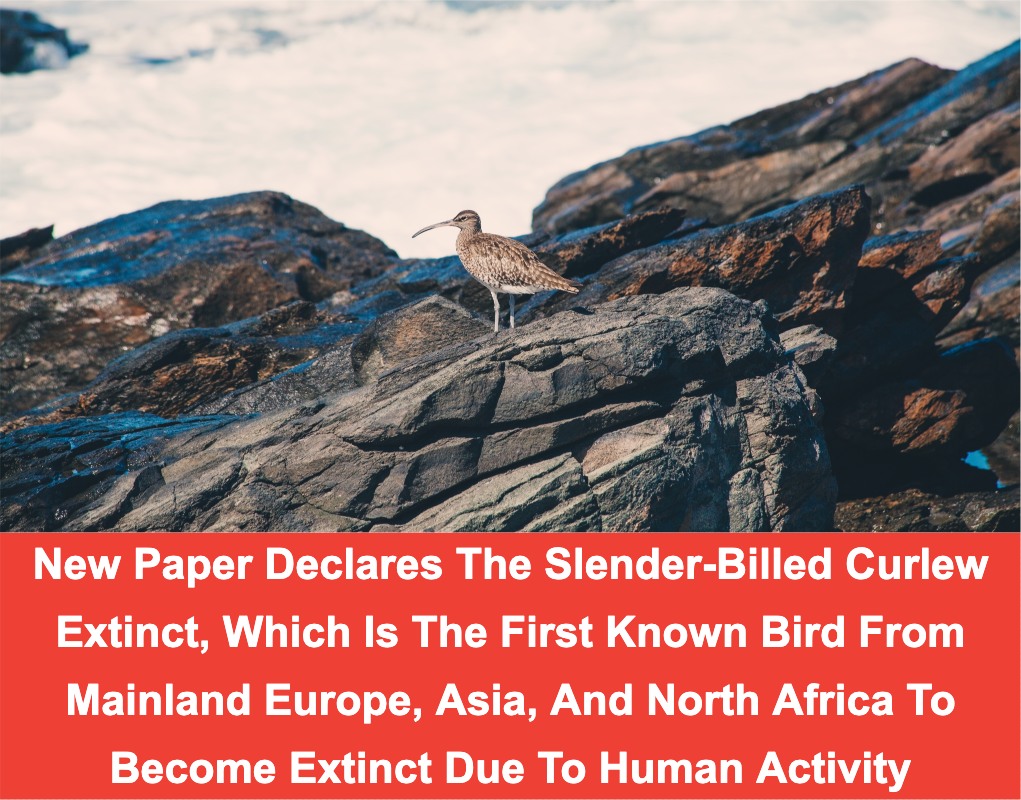 Did You Know - FULL STORY:... | Facebook