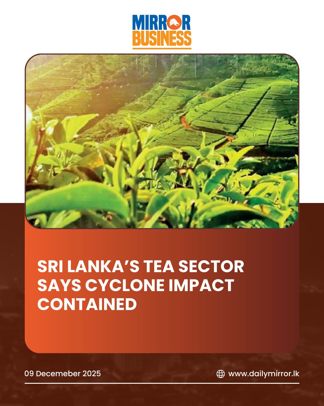 Daily Mirror - Sri Lanka’s tea sector says cyclone impact... | Facebook