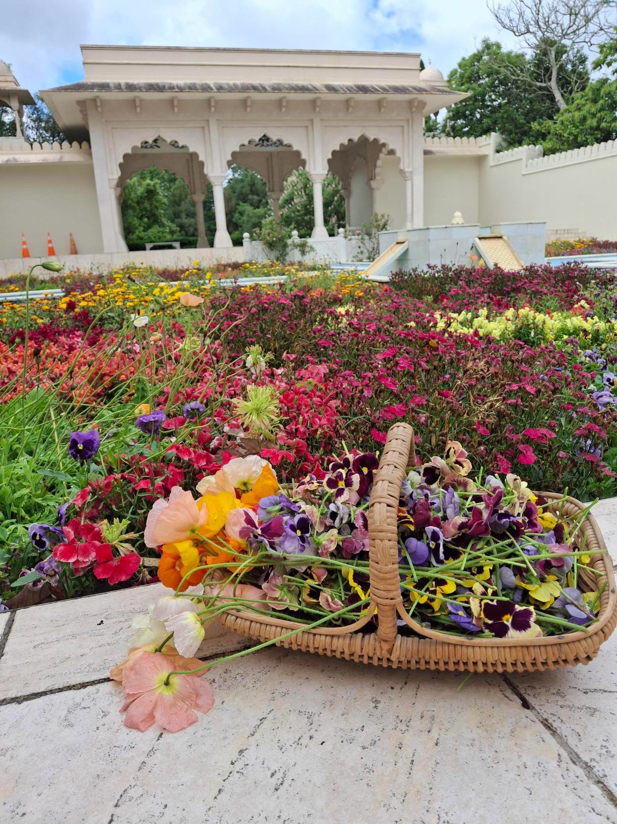 Hamilton - 🌸 The Changing of the Char Bagh One of the most impressive ...