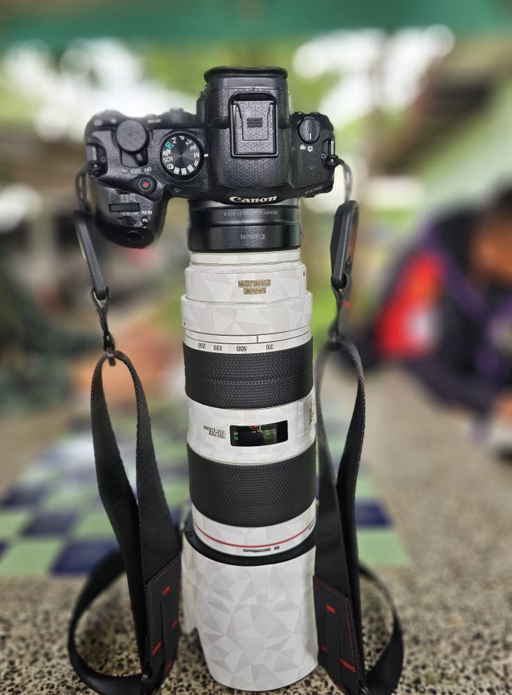 Ef70-200f2.8L is ii 6D mark ii