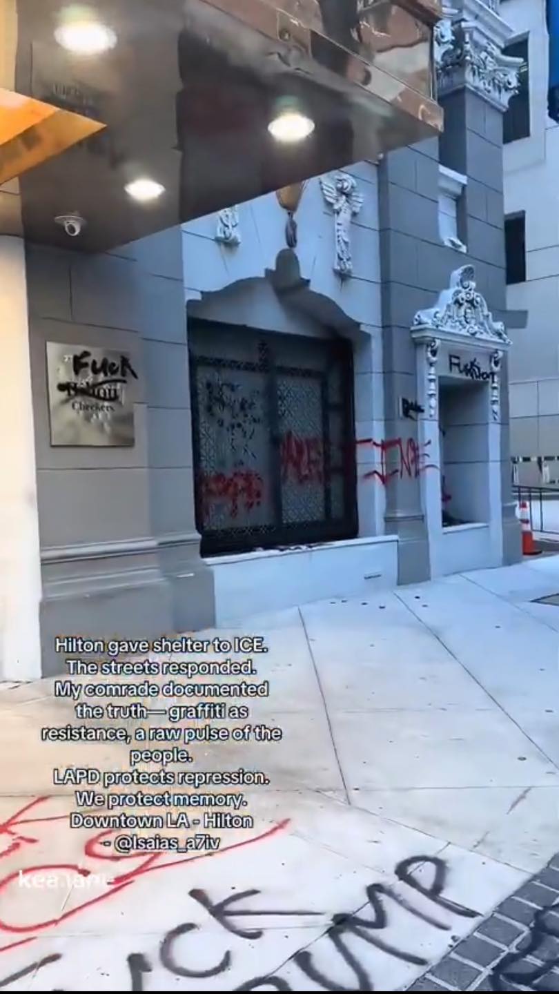 Anti-ICE activists completely... - David J Harris Jr. | Facebook