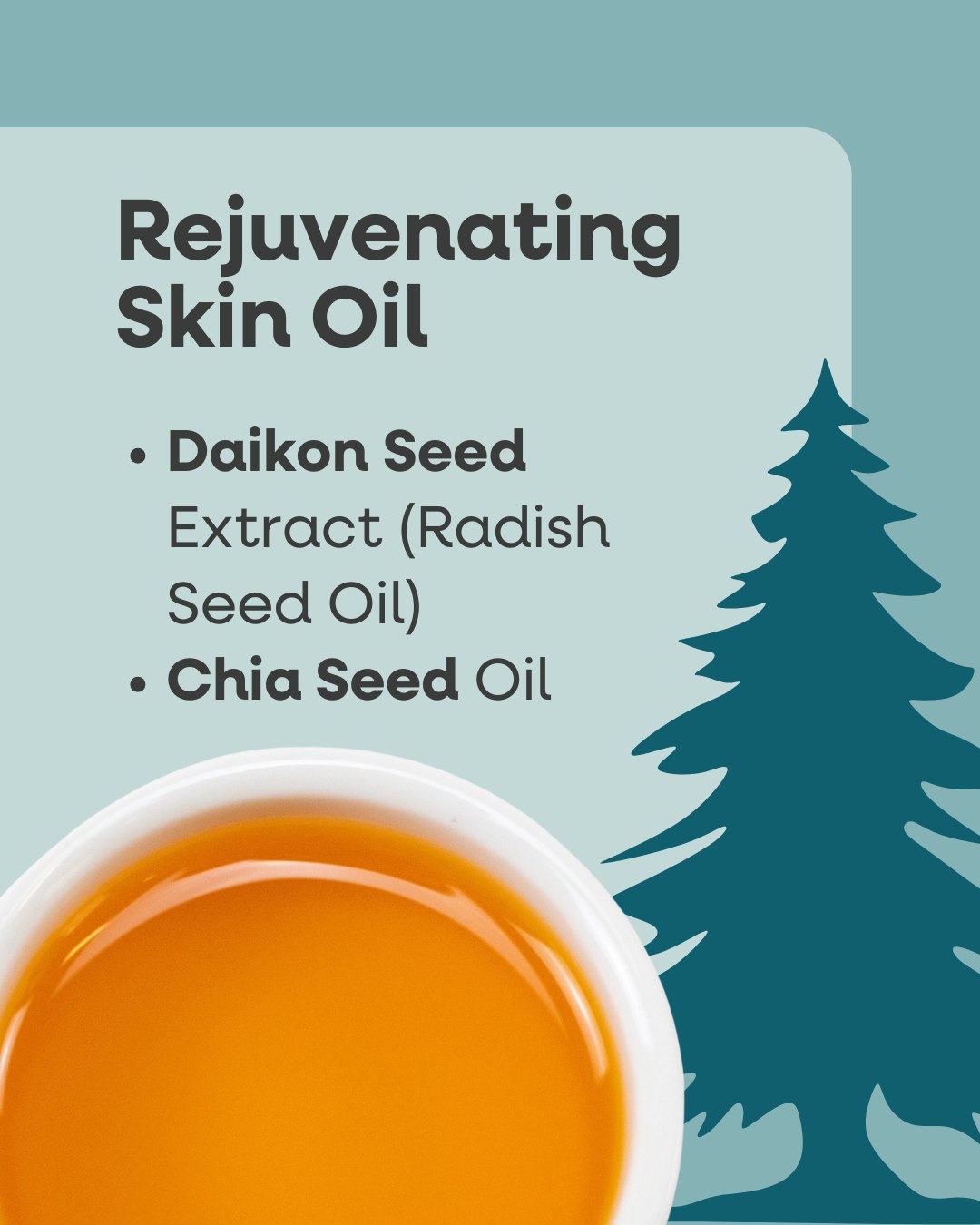 NourishUs Naturals | Portland OR