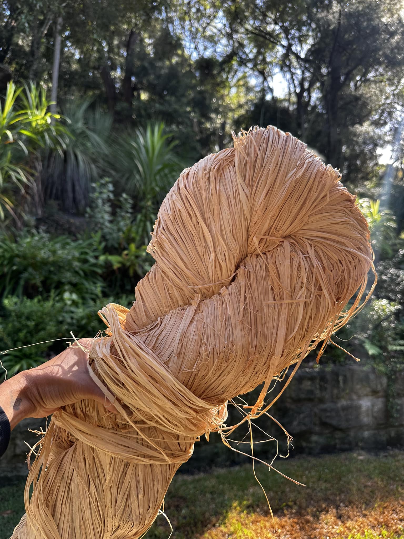 String Harvest | North Narrabeen NSW