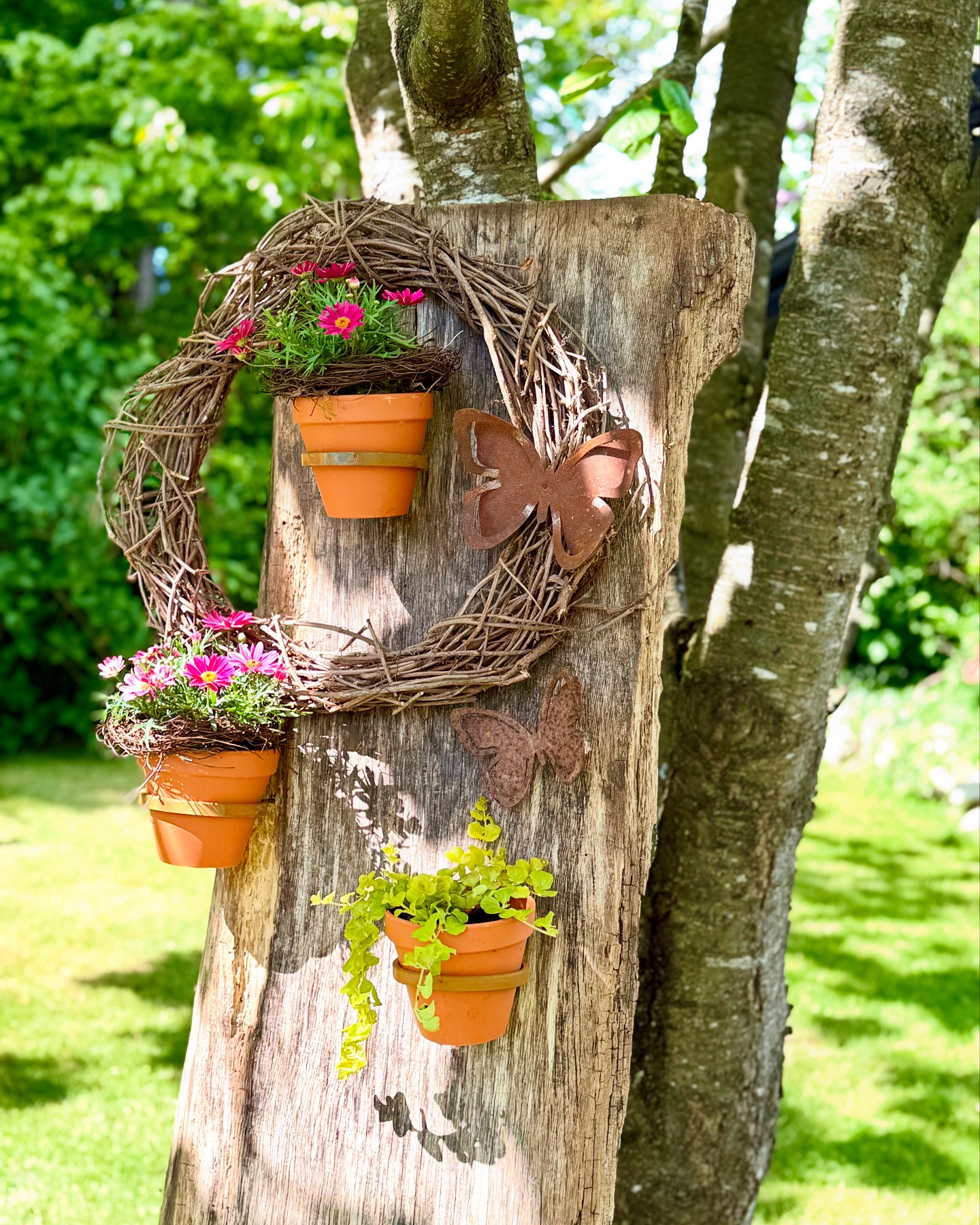 🌸 Kleine Deko Idee am Dienstag 🌸 Die Sonne scheint, da macht es gleich doppelt so viel Spaß ☀️ Hier habe ich ein altes Holzbrett mit einem selbstgebundenen Kranz, unseren Blumentopfhaltern &