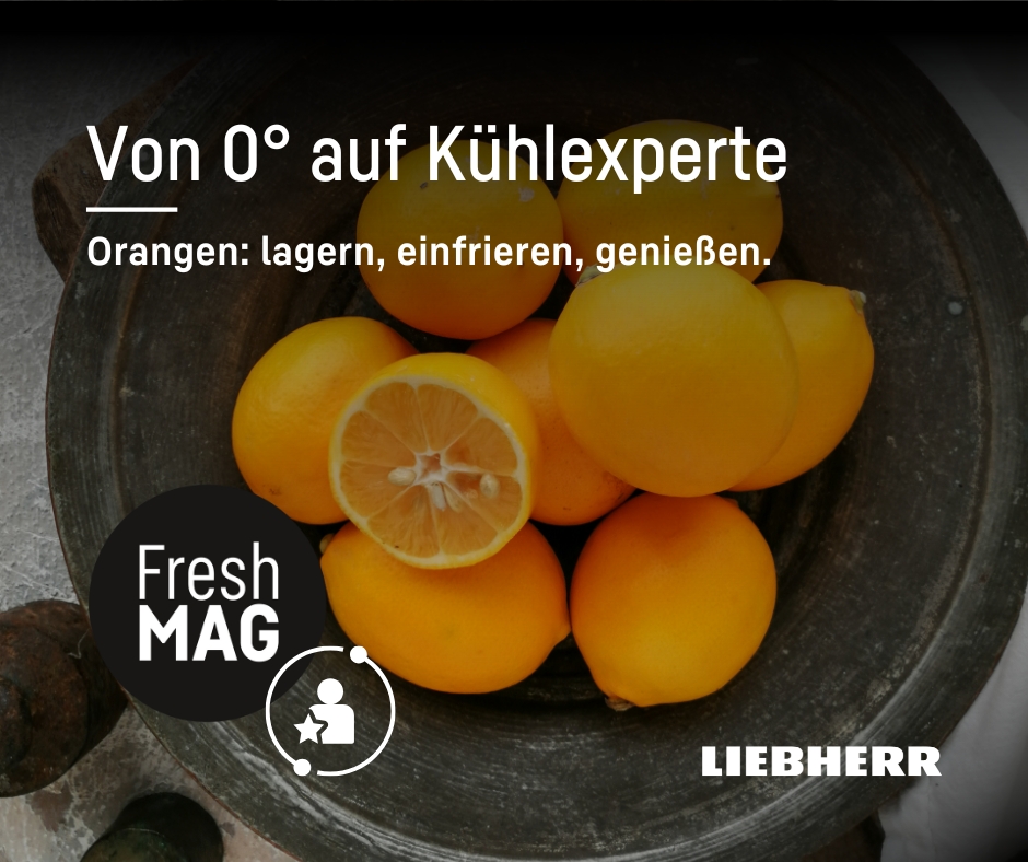 altglas aufbewahrung ideen BZBRLZ Pfandflaschen Sammelbehälter mit Rollen, Pfandflaschen mit Deckel, Flaschensammler, Behälter Leergut & Altglas, Wäschesammler mit Abnehmbarem Beutel Küche, Haushalt & Wohnen So bleiben Zitrusfrüchte wochenlang Børn 3D Effekt:lila