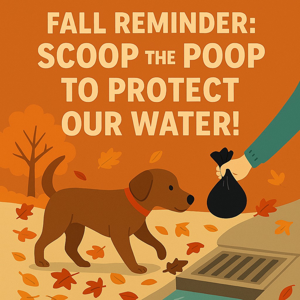 Town - 🍁 Fall Reminder: Scoop the Poop to Protect Our Water! 💧🐶 Fallen ...