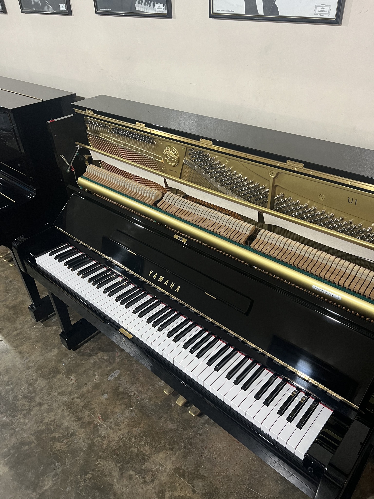 Photo inspiration: Gallery Detail: Elite Piano Shop Ph Added A New Photo