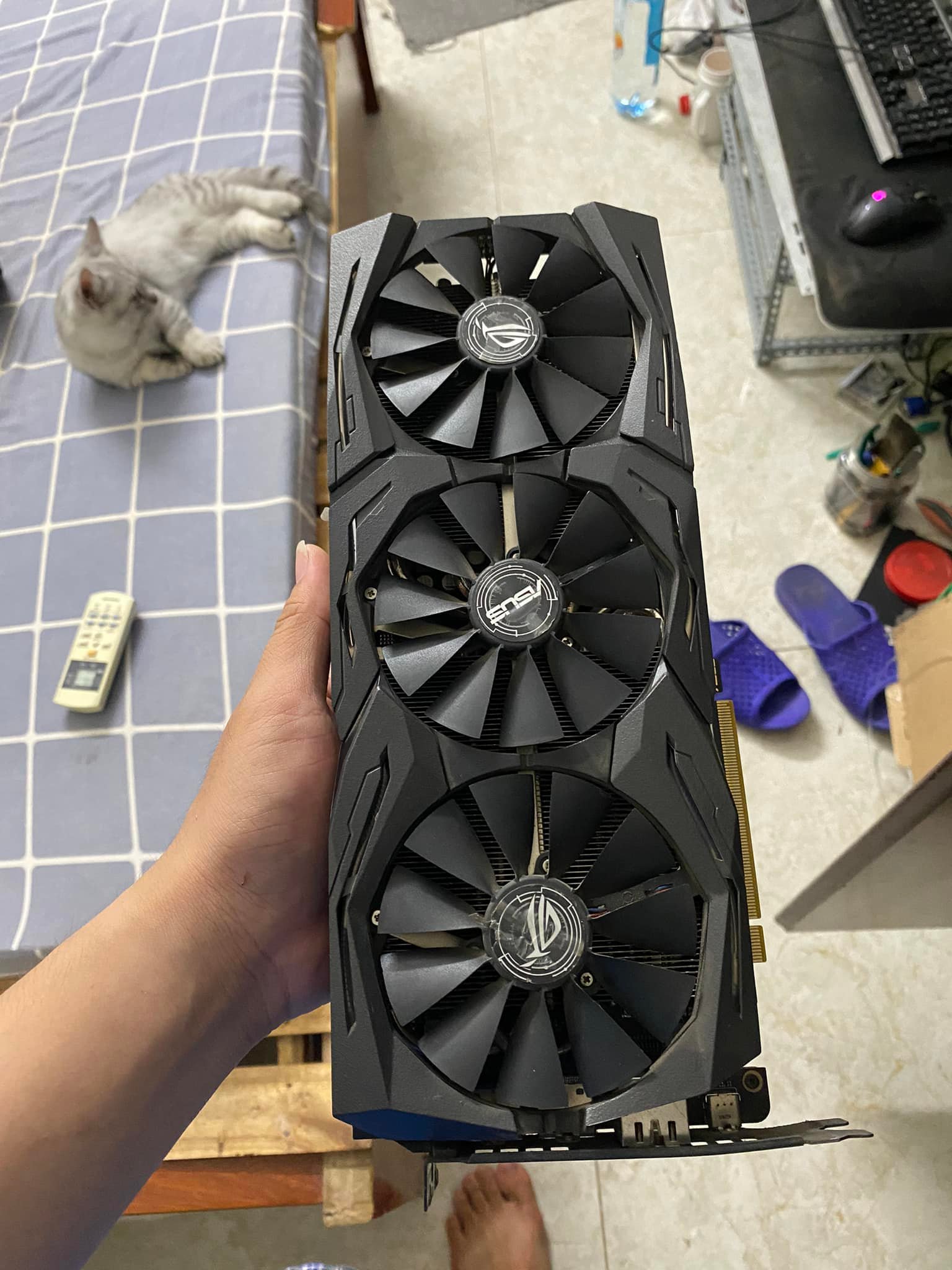 VGA Siêu Rẻ VN - Chợ PC & Gaming Gear | #hcm #bán Rtx 2070 asus rog ...