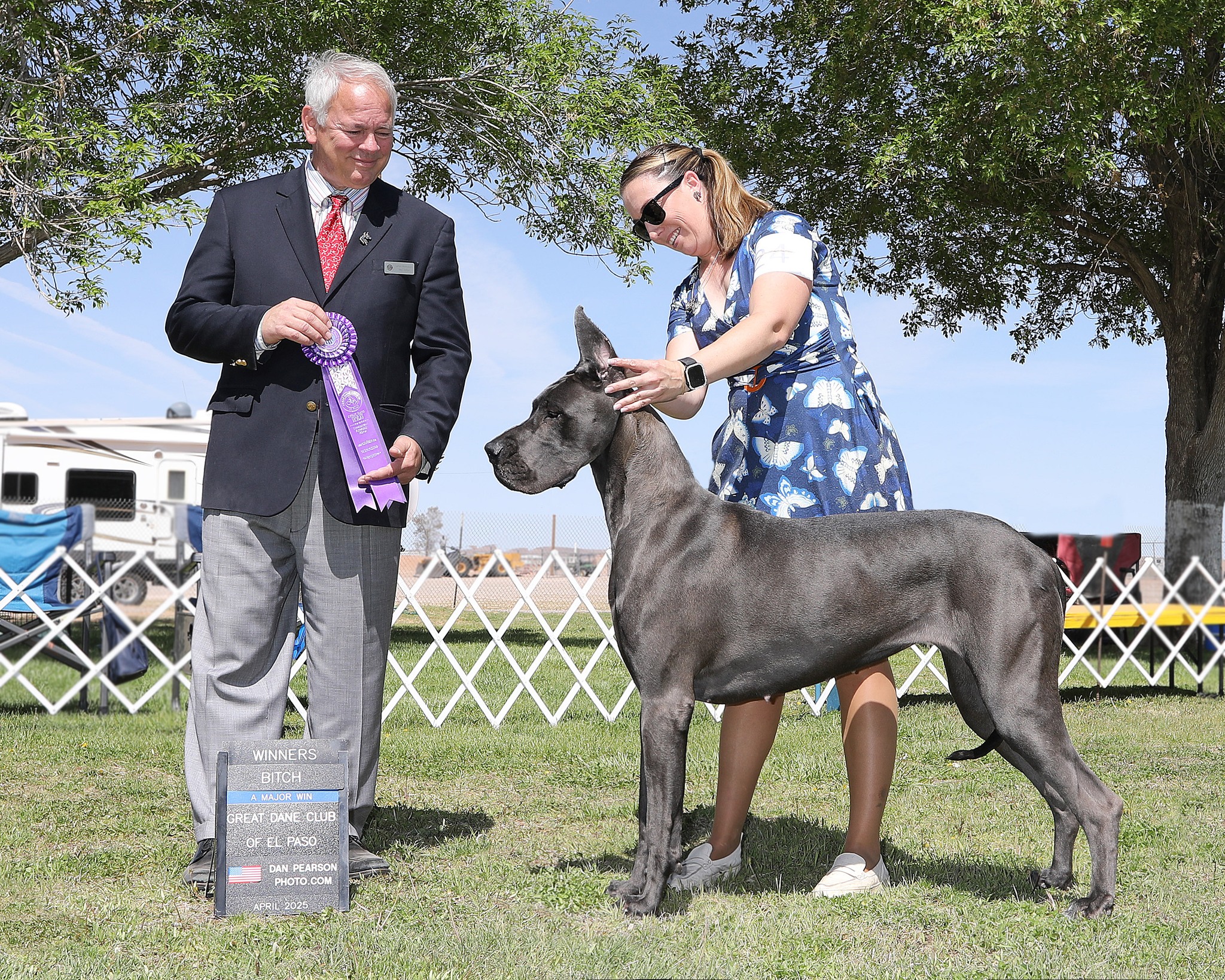 Sharcon Great Danes | Moriarty NM