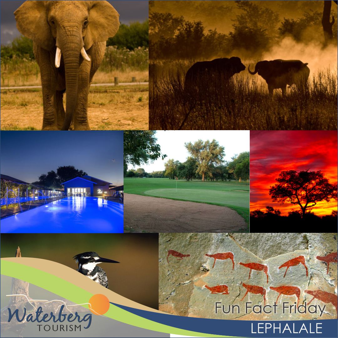 #funfactfriday Lephalale (formerly... - Waterberg Tourism | Facebook